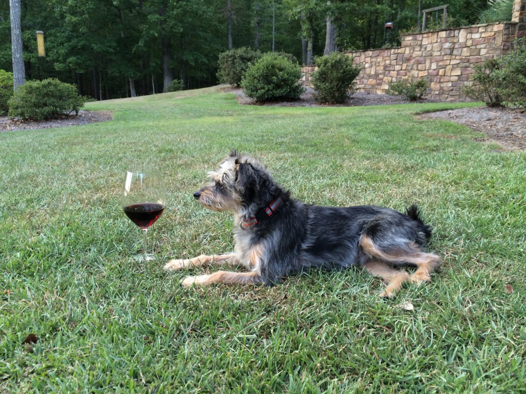 After a long day I like to enjoy a glass of wine while contemplating the state of the world.  Of which I am the boss.