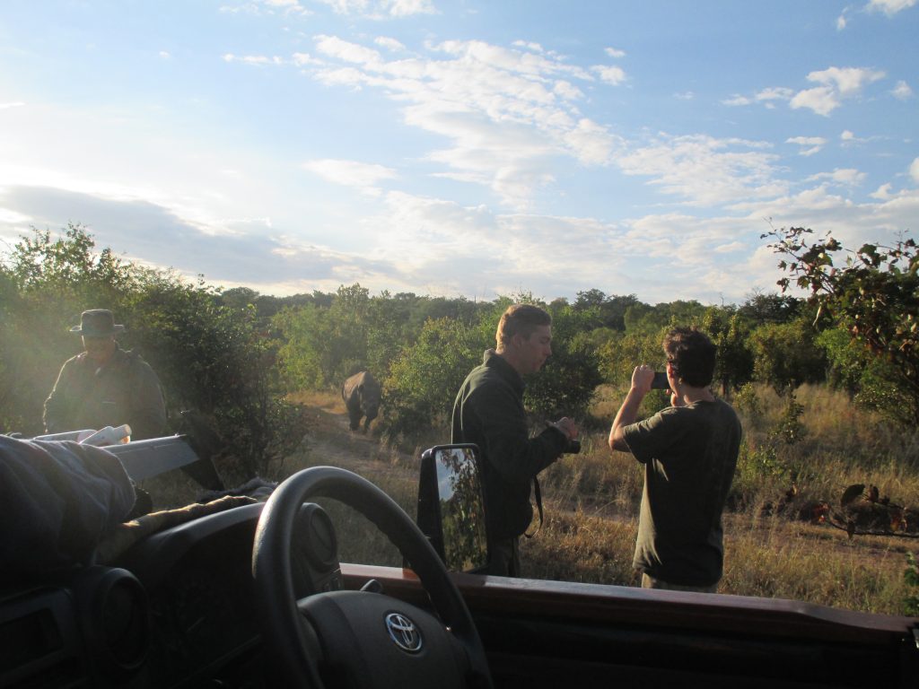 This was an early morning after camping overnight in the bush. This rhino saw us and was curious...